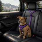 Adjustable Dog Car Seat Belt Harness for Safe Travel