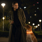 Adjustable LED Dog Collar – Nylon Light-Up Glow Collar for Night Walks