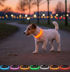Adjustable LED Dog Collar – Nylon Light-Up Glow Collar for Night Walks