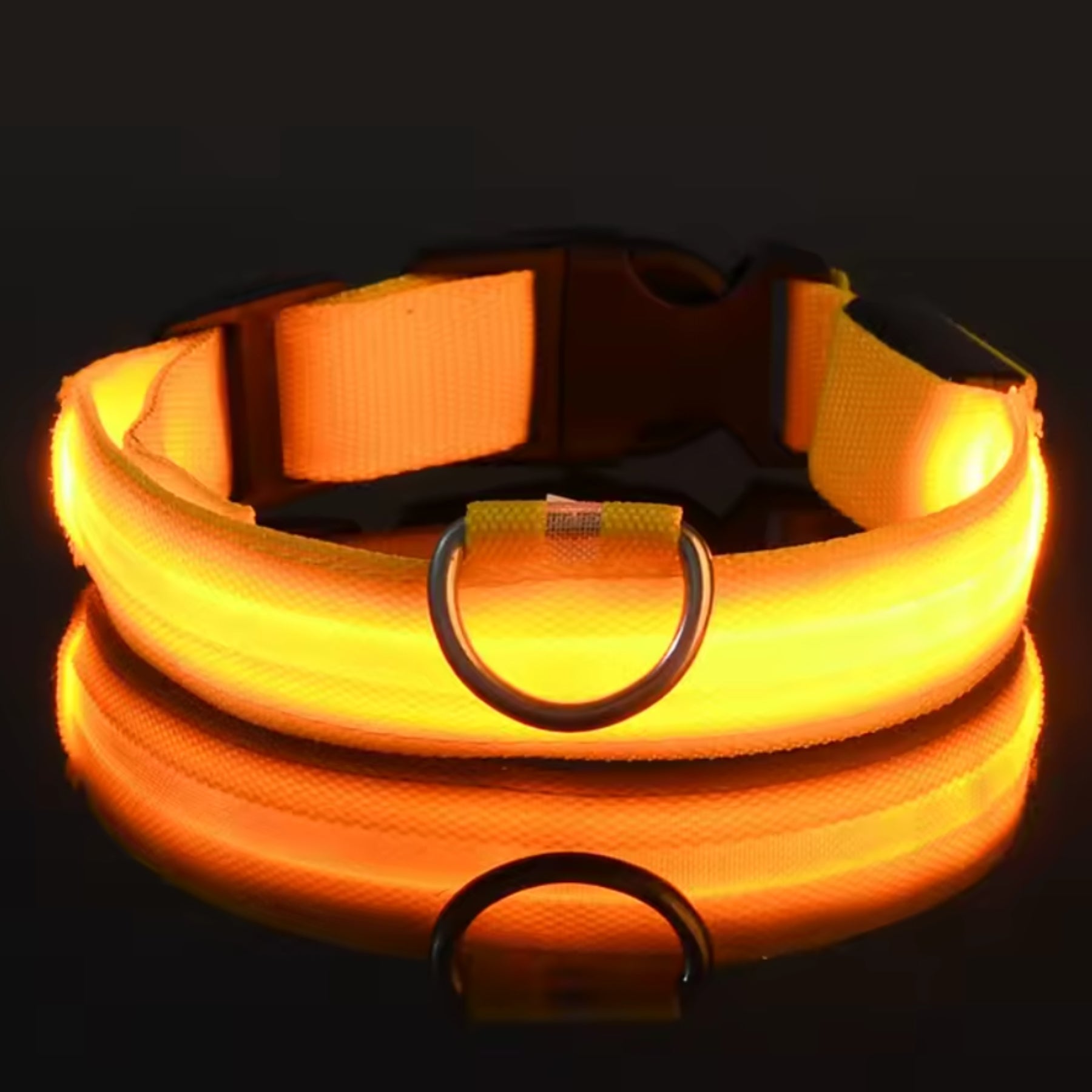 Adjustable LED Dog Collar – Nylon Light-Up Glow Collar for Night Walks