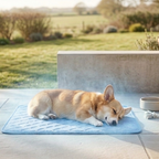 Cooling Dog Mat for Summer