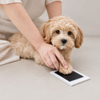 Clean Touch Pet Paw Print Ink Pad Kit for Dogs & Cats