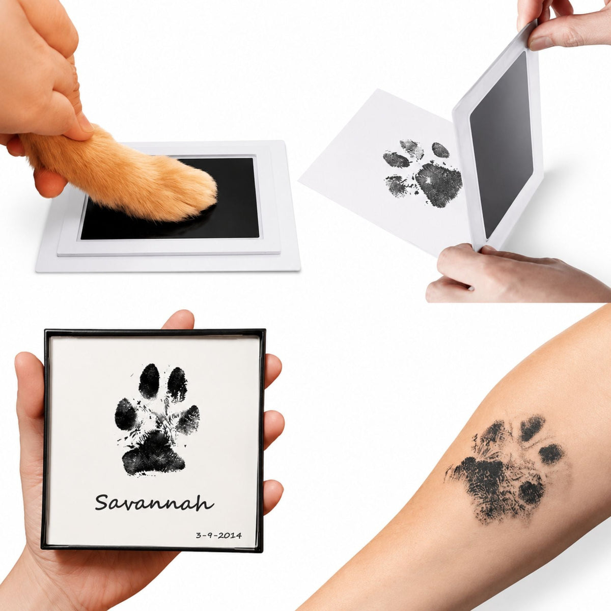 Clean Touch Pet Paw Print Ink Pad Kit for Dogs & Cats