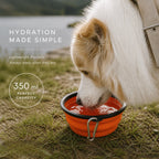 Collapsible Pet Travel Bowl for Dogs & Cats – Portable Silicone Water & Food Bowl with Carabiner, Foldable Dog Bowl for Travel, Hiking & Outdoor Use