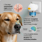Dog Calming Diffuser, Plug-In Pet Calming Diffuser for Anxiety Relief