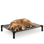 Elevated Cooling Dog Bed & Cat Bed - Breathable Mesh Outdoor Pet Cot