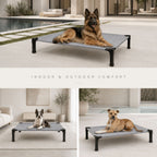 Elevated Cooling Dog Bed & Cat Bed - Breathable Mesh Outdoor Pet Cot