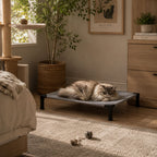 Elevated Cooling Dog Bed & Cat Bed - Breathable Mesh Outdoor Pet Cot