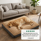 Extra Thick Orthopedic Washable Dog Bed - Calming Plush Mattress for Large Dogs