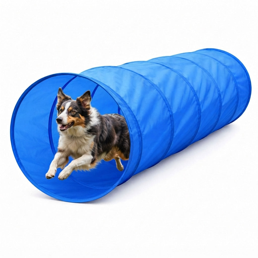 Foldable Dog Agility Tunnel - Indoor & Outdoor Training Play Tunnel