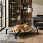 Elevated Cooling Dog Bed & Cat Bed - Breathable Mesh Outdoor Pet Cot