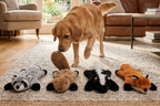 Squeaky Plush Dog Toy