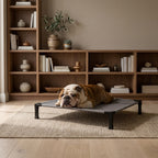 Elevated Cooling Dog Bed & Cat Bed - Breathable Mesh Outdoor Pet Cot