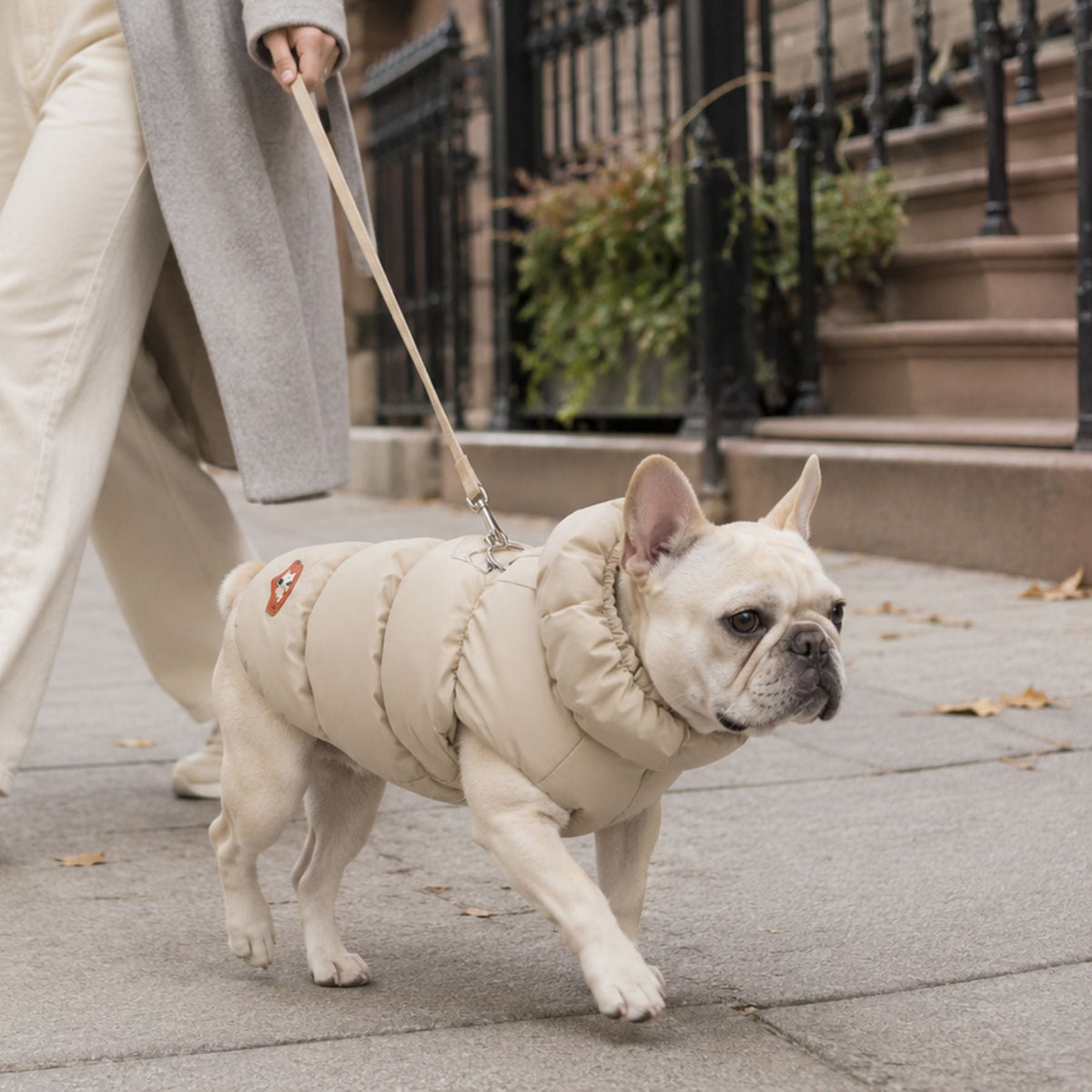 Padded Winter Dog & Cat Coat - Warm Quilted Pet Jacket with Leash Ring