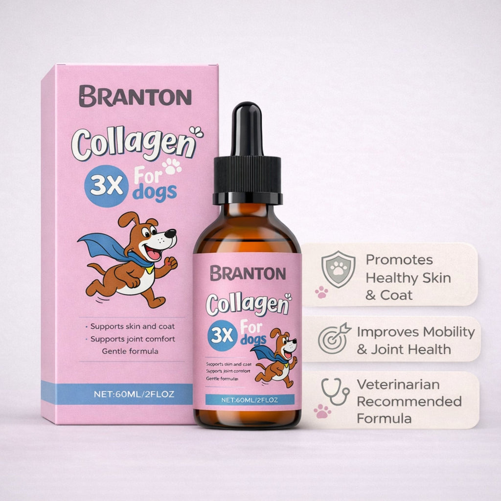 Pet Collagen Drops For Dogs 60ml Liquid Collagen Supplement Joint Mobility Skin Coat Support Hip Health Anti Aging Dog Vitamins Natural Pet Health Care Drops