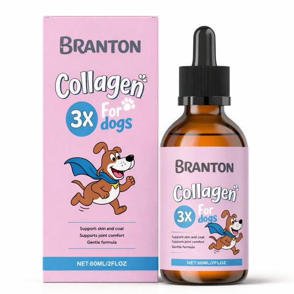 Collagen Drops for Dogs – Liquid Joint, Skin & Coat Support Supplement