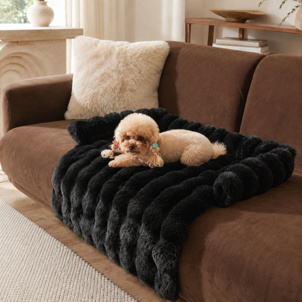 Soft Dog & Cat Sofa Bed - Cozy Pet Cushion, Mat & Sleeping Bed