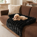 Soft Dog & Cat Sofa Bed - Cozy Pet Cushion, Mat & Sleeping Bed