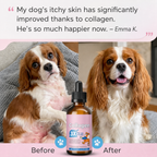Pet Collagen Drops For Dogs 60ml Liquid Collagen Supplement Joint Mobility Skin Coat Support Hip Health Anti Aging Dog Vitamins Natural Pet Health Care Drops