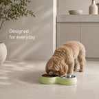 Premium Double Pet Feeding Bowl with Removable Stainless Steel Bowls – Food & Water Dish for Cats and Small Dogs