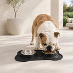 Premium Non-Slip Double Dog & Cat Bowl with Silicone Mat and Removable Stainless Steel Bowls – Food & Water Feeding Station