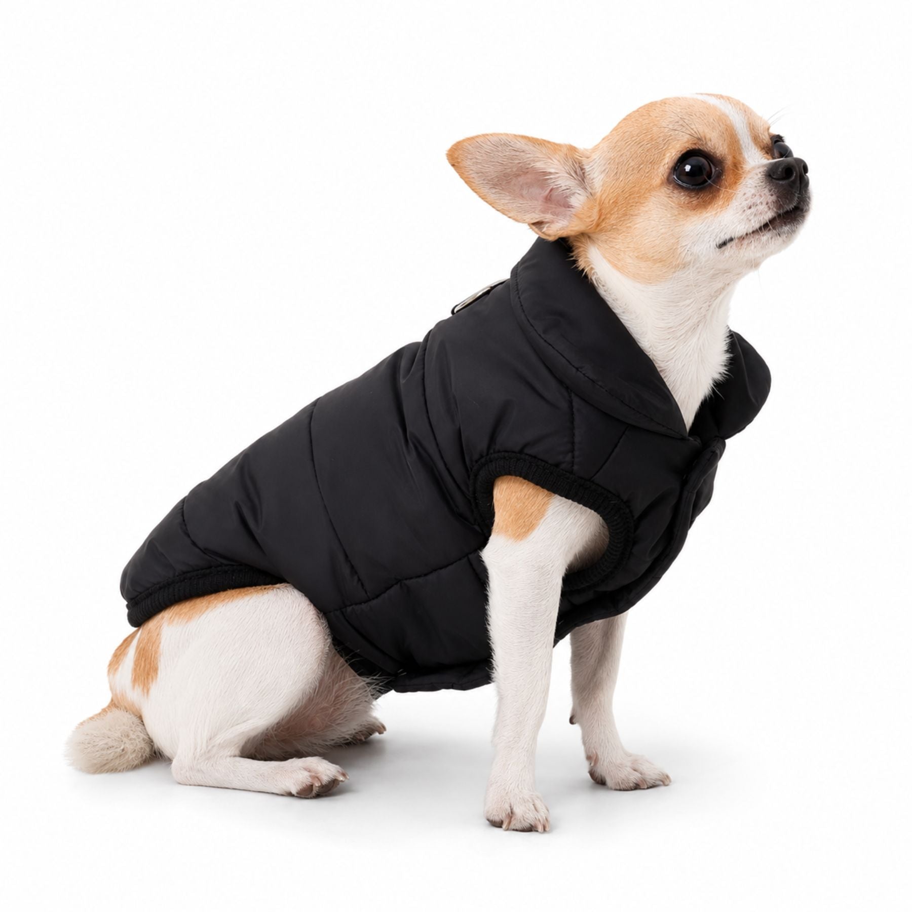 Dog Winter Coat Fleece Lined Dog Jacket
