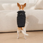 Dog Winter Coat Fleece Lined Dog Jacket