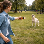 Rechargeable Ultrasonic Dog Training Device with LED Flashlight Tool