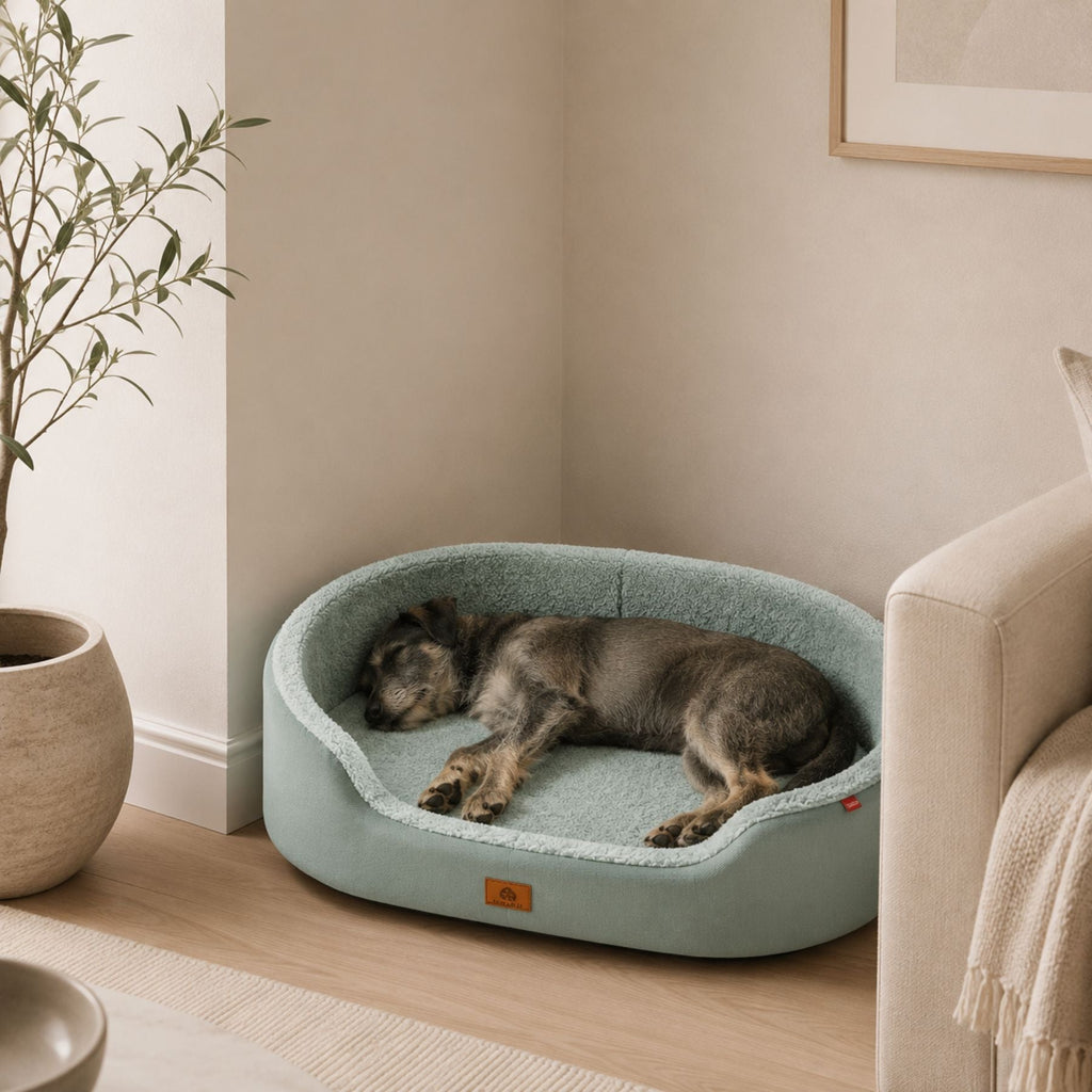 Raised Edge Plush Dog Bed with Non-Slip Base – Sofa Style Pet Couch Bed for Dogs & Cats, Soft Calming Orthopedic Pet Bed for Small Medium Large Pets