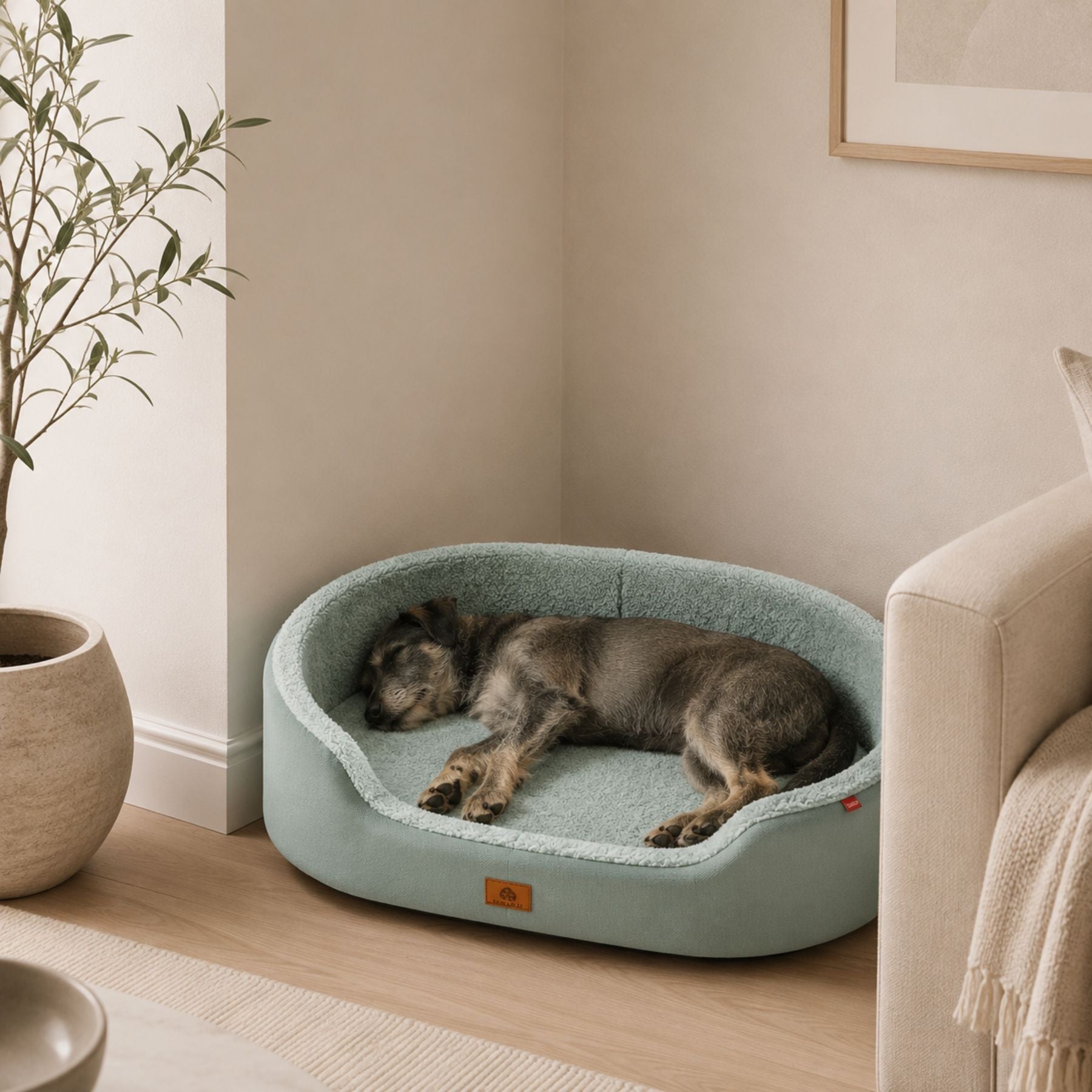 Raised Edge Plush Dog Bed with Non-Slip Base – Sofa Style Pet Couch Bed for Dogs & Cats, Soft Calming Orthopedic Pet Bed for Small Medium Large Pets