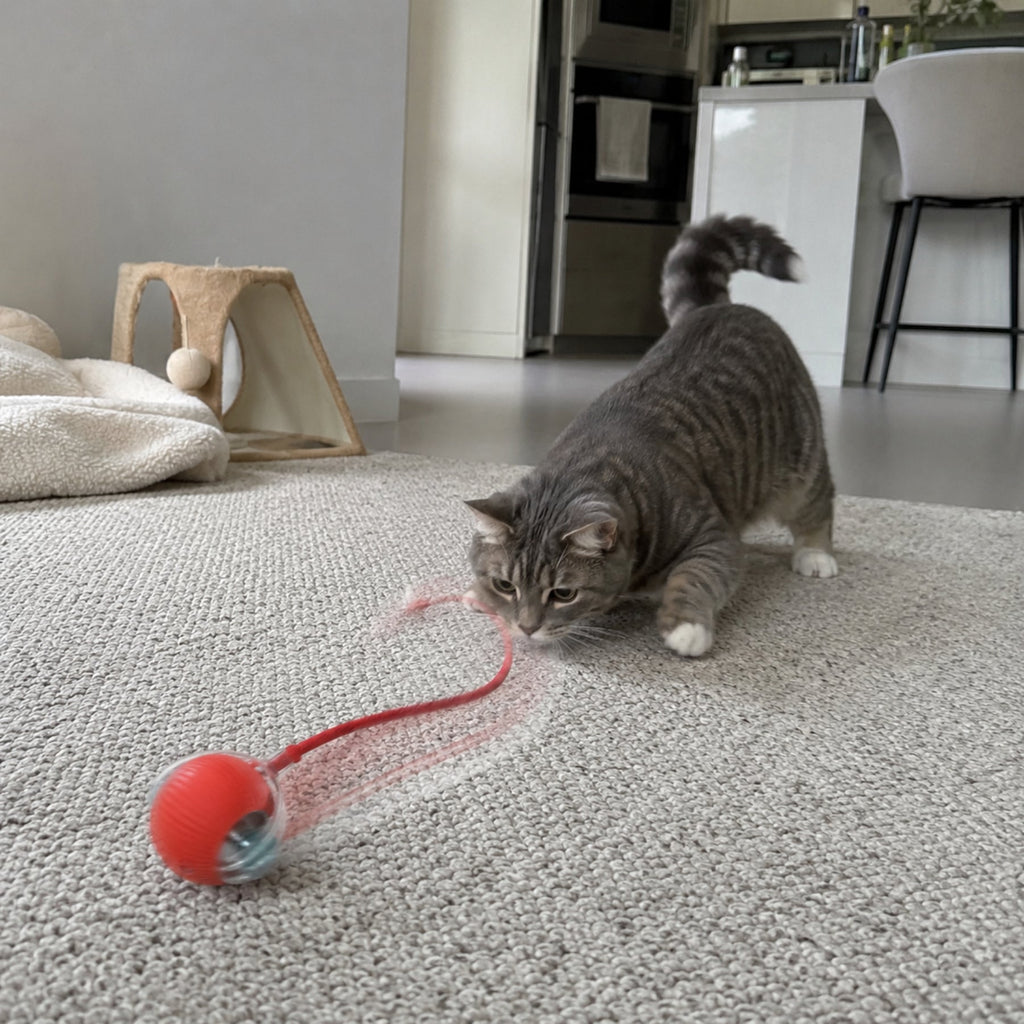Rechargeable Smart Rolling Ball Pet Toy for Cats and Dogs