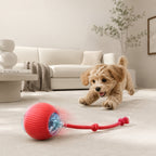 Rechargeable Smart Rolling Ball Pet Toy for Cats and Dogs