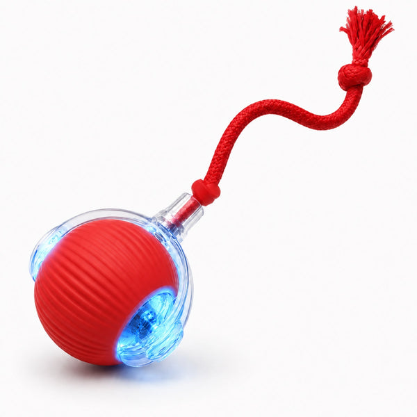 Interactive Rolling Ball Dog & Cat Toy-Rechargeable Mental Stimulation