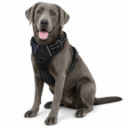 Reflective No-Pull Dog Harness with Front Clip & Control Handle
