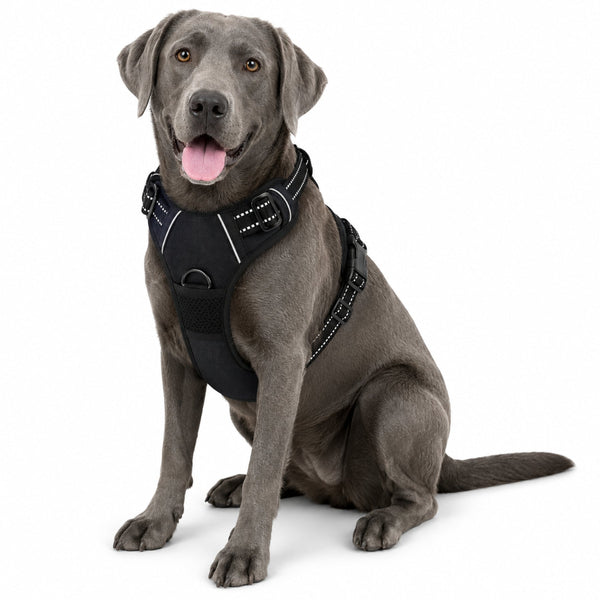 No Pull Reflective Dog Harness with Handle – Adjustable Walking Vest