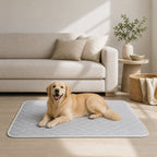 Reusable Washable Pet Training Pads (2 Pack) – Leakproof Dog Pee Pads with Anti-Slip Bottom, Quick-Dry Absorbent Puppy Training Mat for Indoor Use