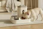 Automatic Pet Feeder & Water Fountain – Large Capacity Dog & Cat Food Storage Dispenser