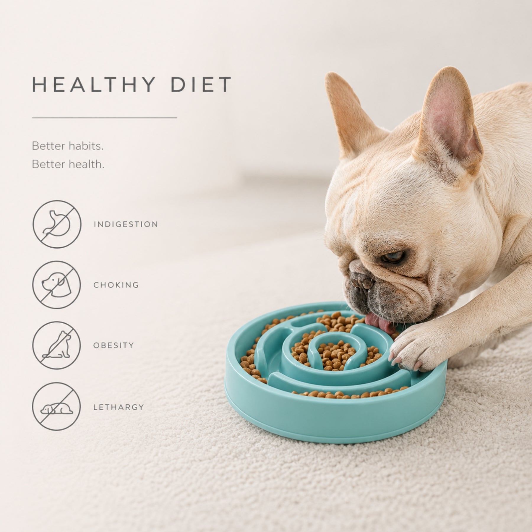 Slow Feeder Dog & Cat Bowl – Non-Slip Pet Feeding Bowl for Controlled Eating, Anti-Choke Puzzle Food Dish for Healthy Digestion