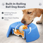 Slow Feeder Lick Bowl for Dogs & Cats – Non Slip Pet Feeding Bowl for Liquid Treats, Yogurt & Wet Food