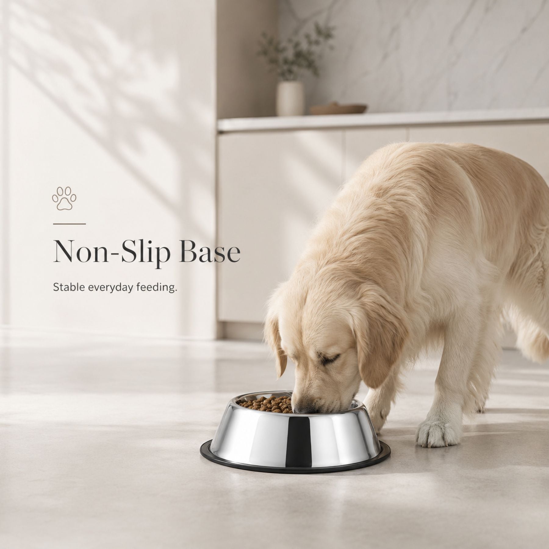 High-Quality Stainless Steel Pet Bowl with Non-Slip Base – Silver Dog & Cat Food & Water Feeding Bowl, Durable Anti-Skid Pet Dish for Small Medium Large Pets