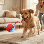 Interactive Rolling Ball Dog & Cat Toy-Rechargeable Mental Stimulation