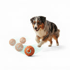 Interactive Dog Toy Ball-Automatic Moving Ball for Dogs & Cats