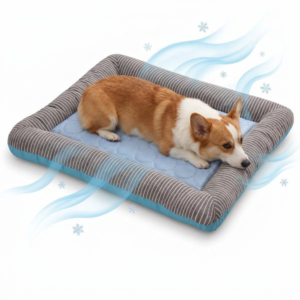 Cooling Dog Bed- Raised Edge Summer Dog Bed Mat for Large & Small Dogs