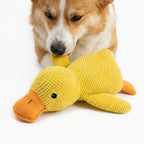 Duck Dog Toy Plush Squeaky Interactive Puppy Comfort Toy for Boredom
