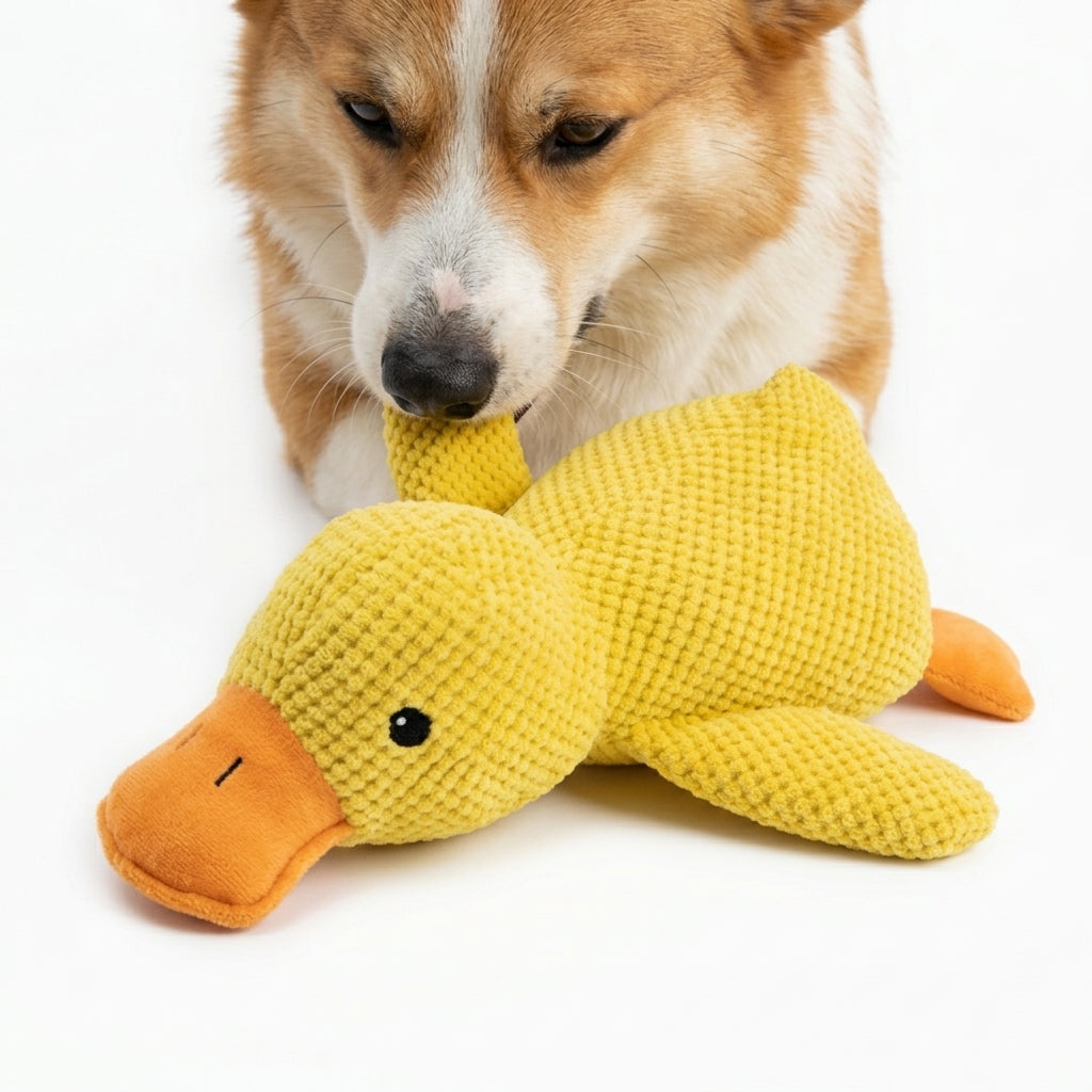 Duck Dog Toy Plush Squeaky Interactive Puppy Comfort Toy for Boredom