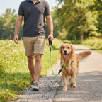 Reflective Dog Leash - Padded Handle - Heavy Duty Rope For Strong Dogs