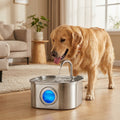 Automatic Stainless Steel Pet Water Fountain 3.2L 108oz for Dogs & Cats