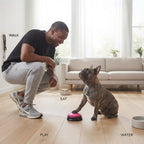 Dog Talking Buttons Voice Recording Pet Communication Training Buzzers
