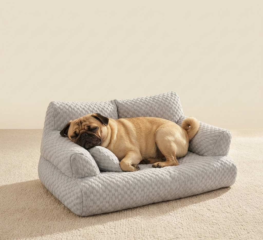 Washable Pet Sofa Bed for Dogs & Cats