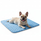 Cooling Dog Mat for Summer